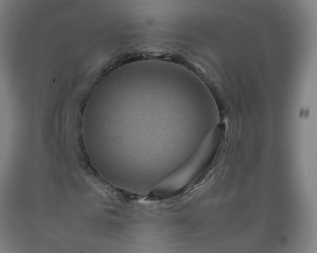 X0000092230961200709281101