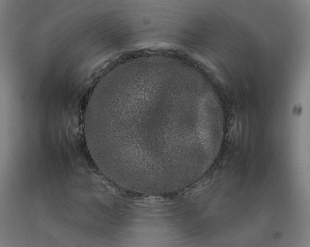 X0000092230966200709281101