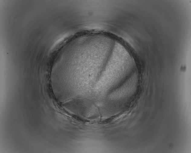 X0000092230967200709281100