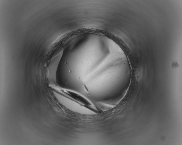 X0000092230968200709281100