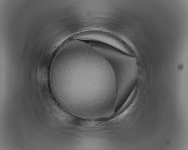 X0000092230969200709281100