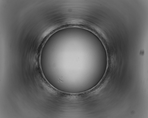 X0000092230970200709281100