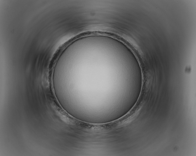 X0000092230974200709281100