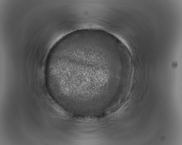 X0000092230975200709281100