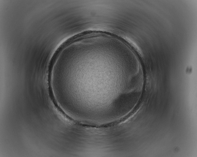 X0000092230976200709281100