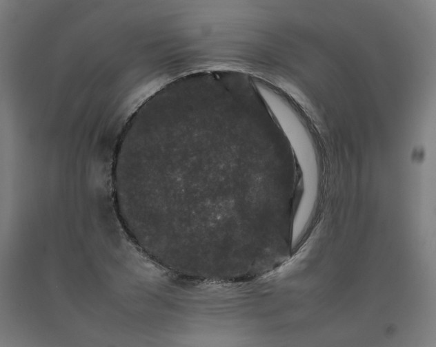 X0000092230977200709281100