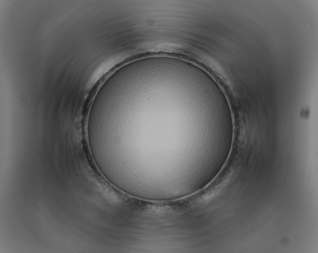 X0000092230978200709281100