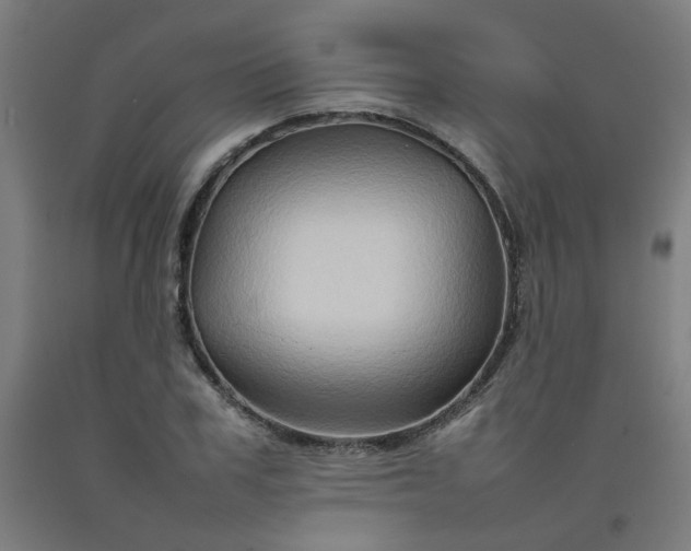 X0000092230979200709281100