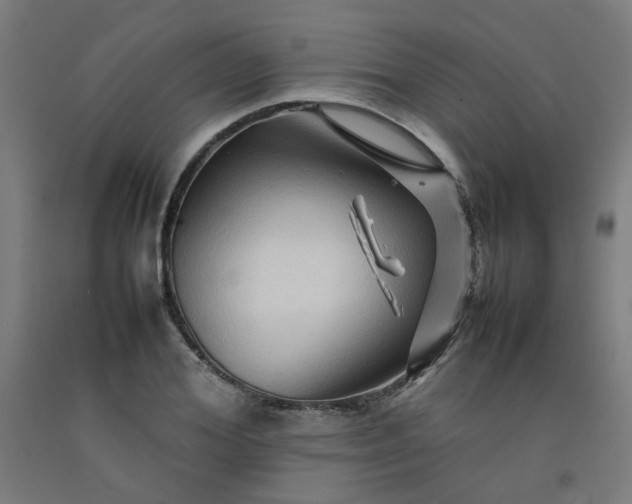 X0000092230980200709281100