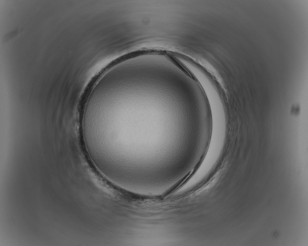 X0000092230981200709281100