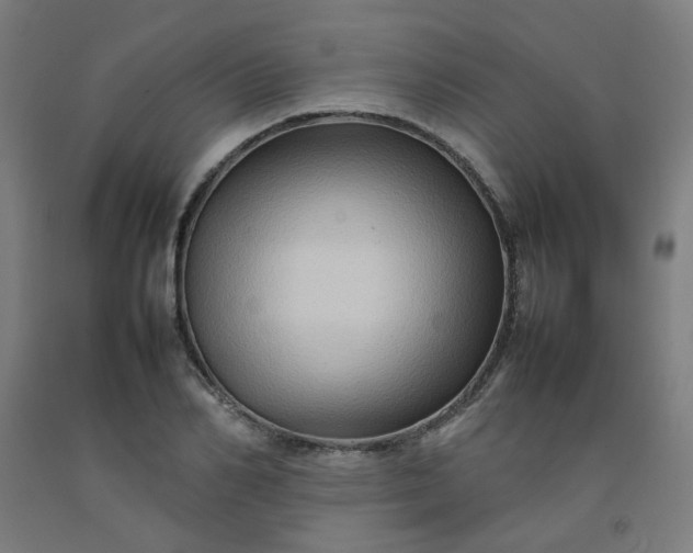X0000092230982200709281100