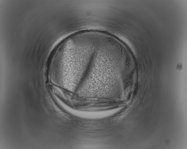 X0000092230983200709281100