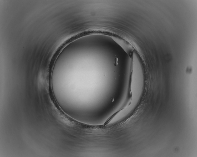 X0000092230984200709281100