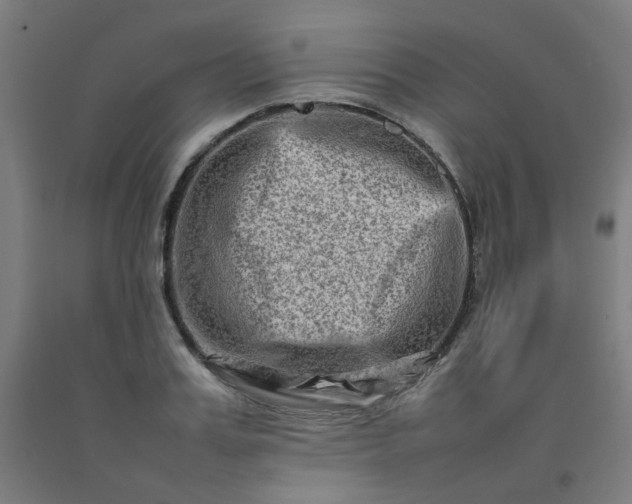 X0000092230987200709281100