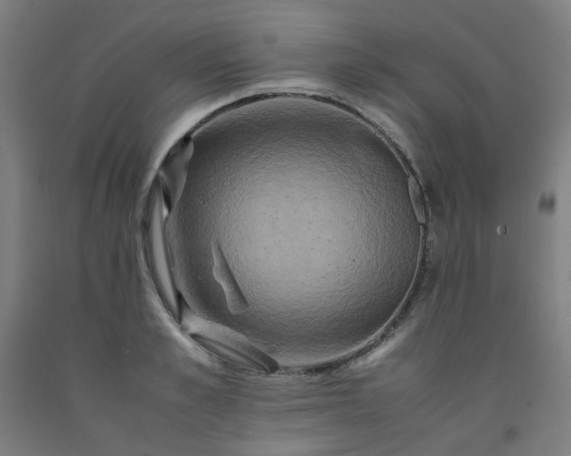 X0000092230989200709281100