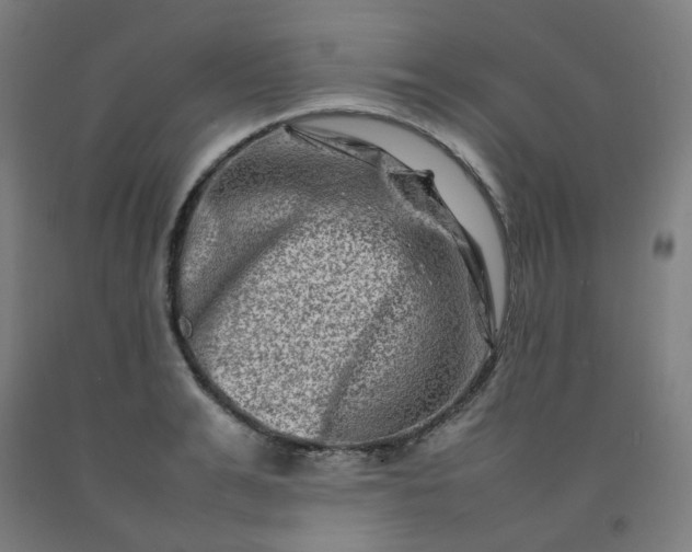 X0000092230991200709281100