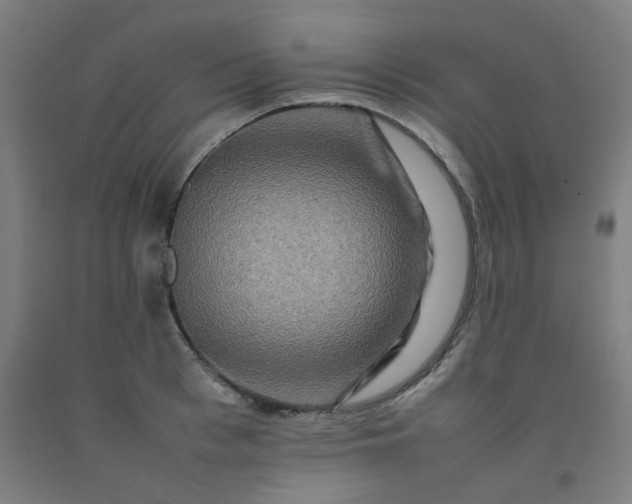 X0000092230993200709281100