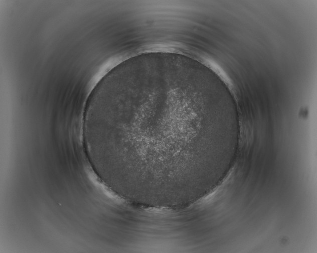 X0000092230994200709281100