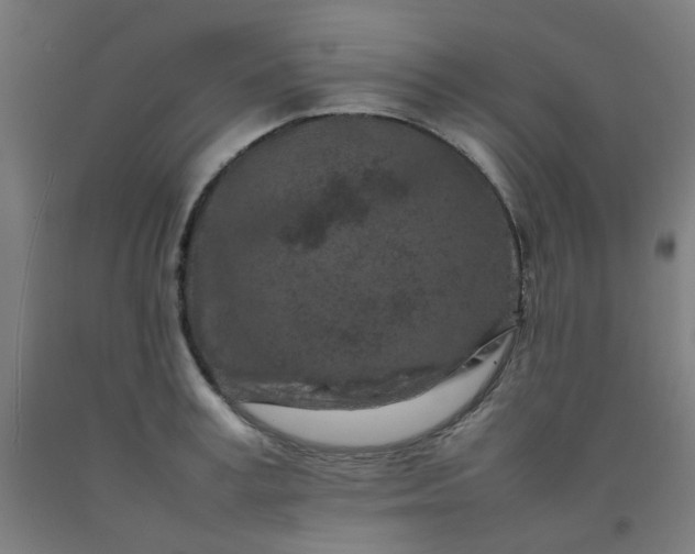 X0000092230995200709281100