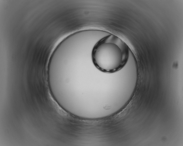 X0000092230996200709281100