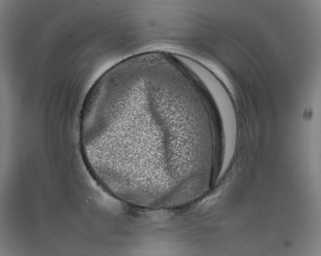 X0000092230999200709281100