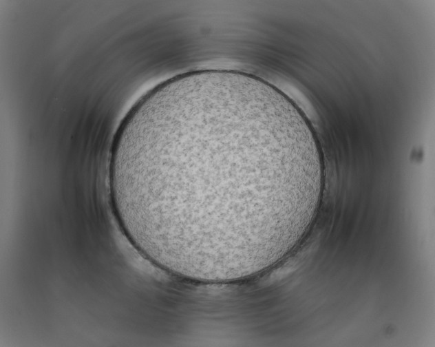X0000092231000200709281100