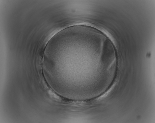 X0000092231001200709281100
