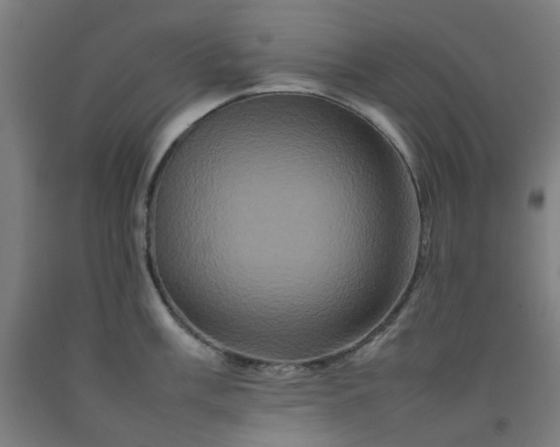 X0000092231003200709281100
