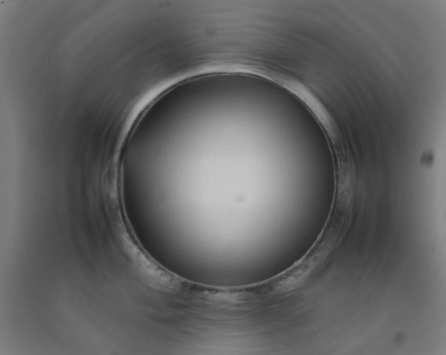 X0000092231004200709281100