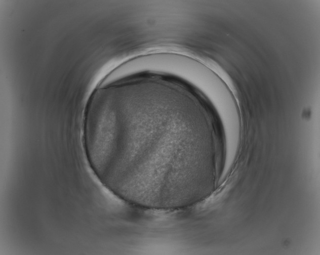 X0000092231005200709281100