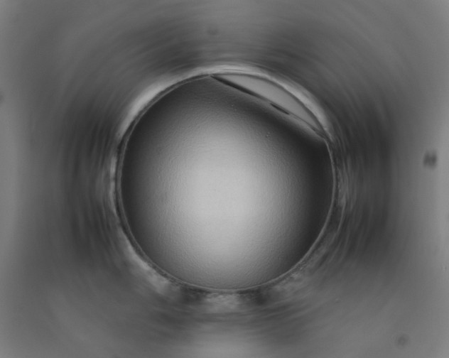 X0000092231006200709281100