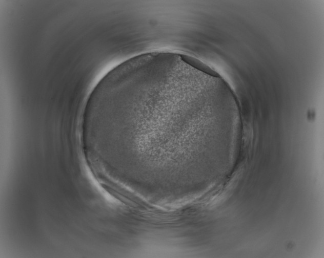 X0000092231007200709281100