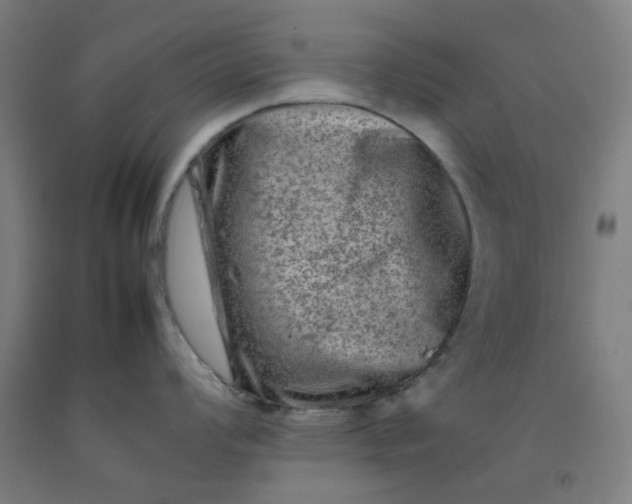 X0000092231008200709281100