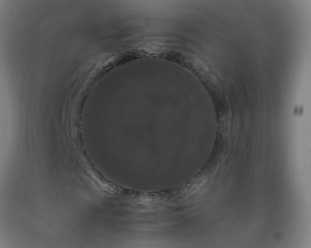 X0000092231009200709281059