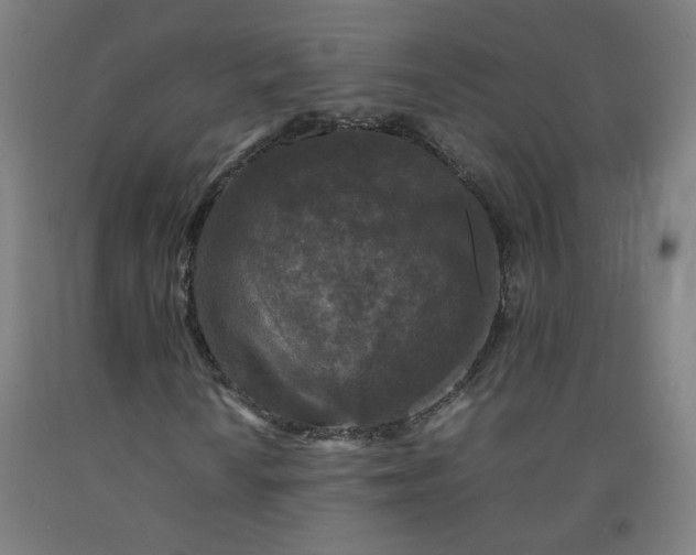 X0000092231010200709281059