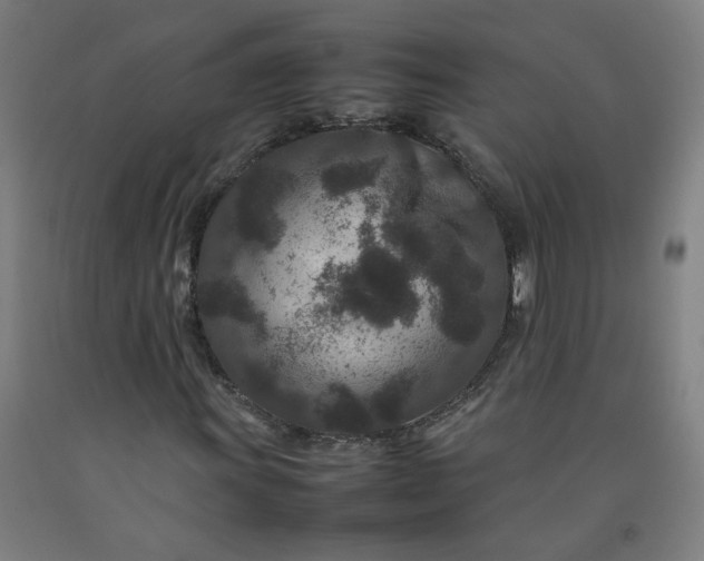 X0000092231011200709281059