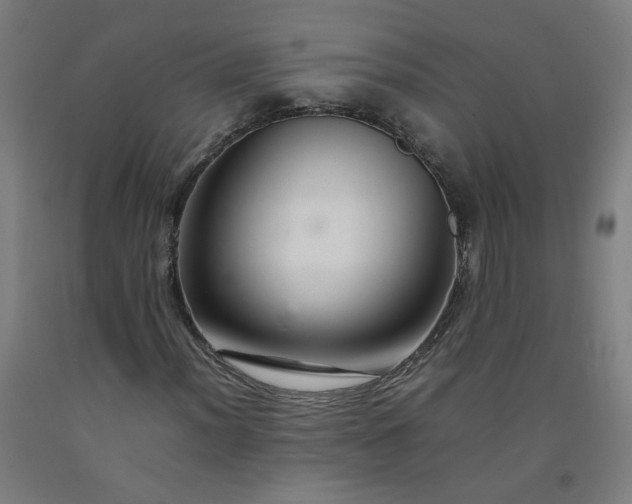 X0000092231012200709281059