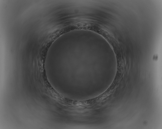 X0000092231013200709281059