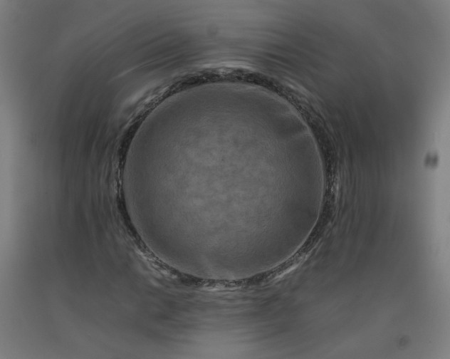 X0000092231014200709281059