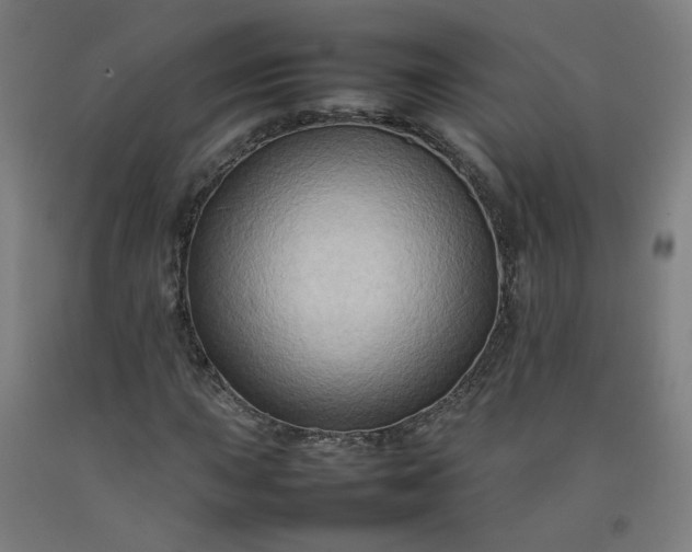 X0000092231015200709281059