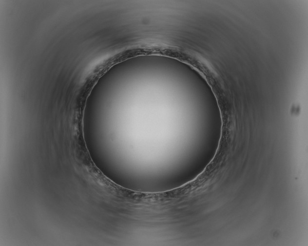 X0000092231016200709281059