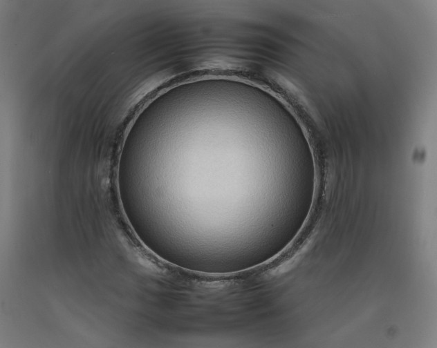 X0000092231017200709281059