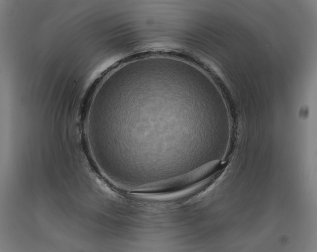 X0000092231018200709281059