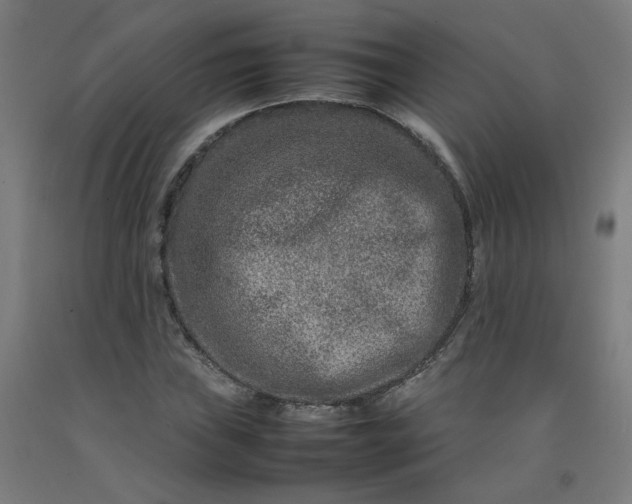 X0000092231019200709281100