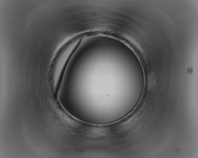 X0000092231021200709281100