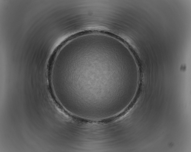 X0000092231022200709281100