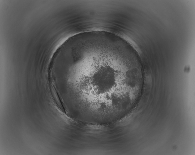 X0000092231023200709281100