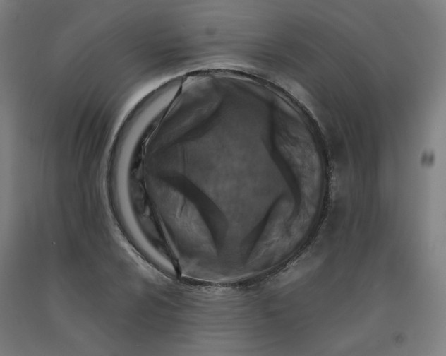 X0000092231024200709281100