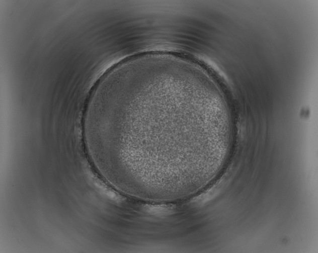 X0000092231025200709281100