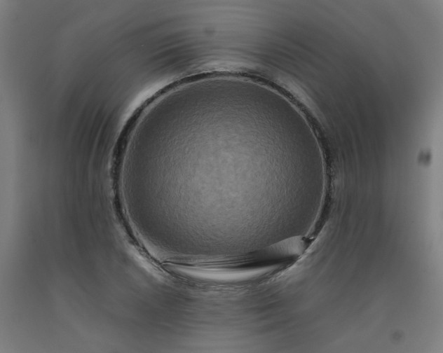 X0000092231026200709281100